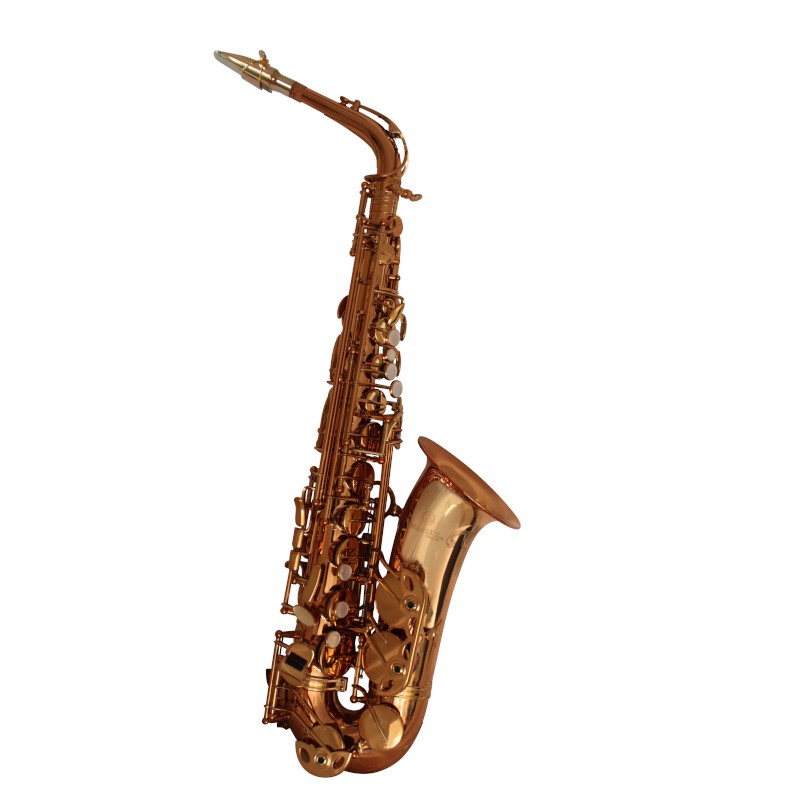 Cuivres et instruments à vent pour enfants BONTEMPI-SX 3902-N-instrument de  musique-Saxophone 4 notes 340290